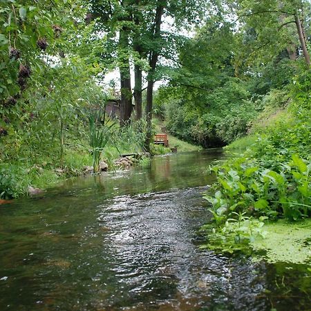 Pod Kogutkiem Villa Kruklanki Dış mekan fotoğraf