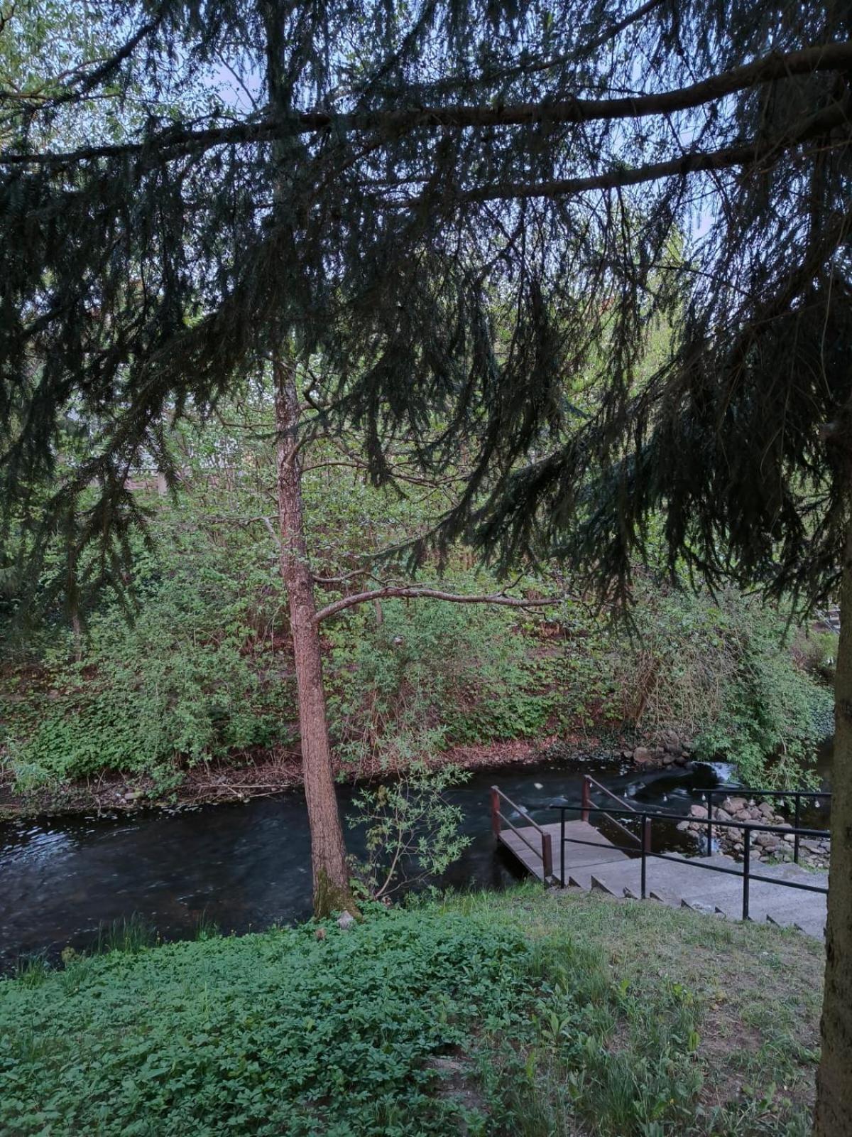 Pod Kogutkiem Villa Kruklanki Dış mekan fotoğraf