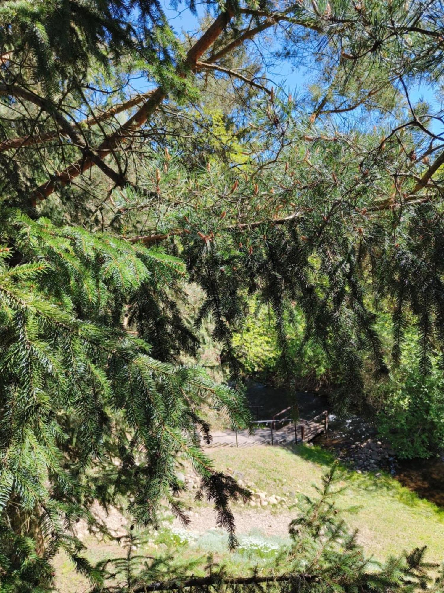 Pod Kogutkiem Villa Kruklanki Dış mekan fotoğraf