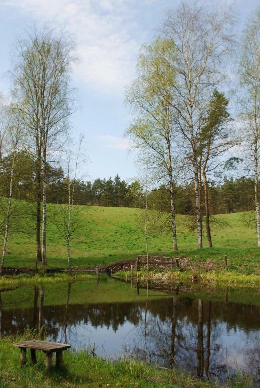 Pod Kogutkiem Villa Kruklanki Dış mekan fotoğraf